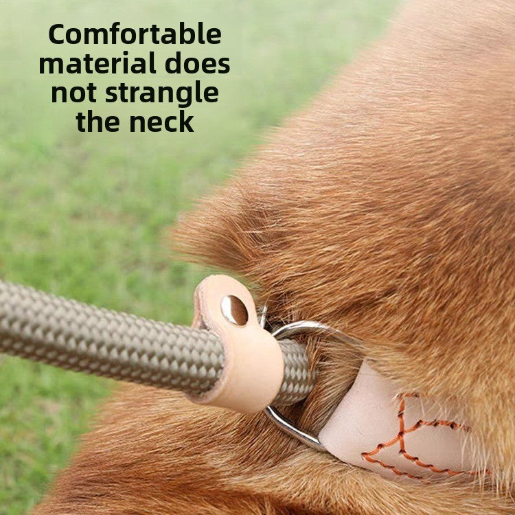 Durable No-Pull Dog Leash â Adjustable Training P Chain Collar for Medium & Large Dogs, Anti-Escape & Explosion-Proof Design