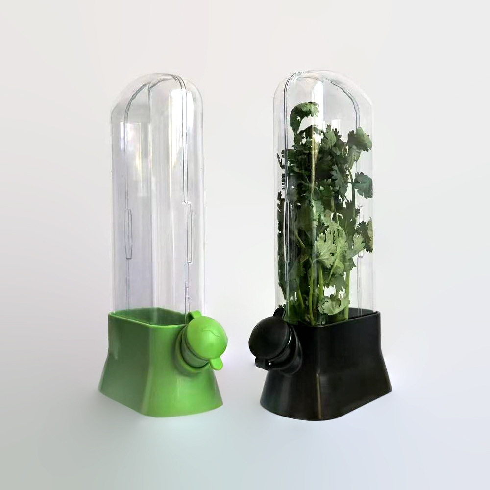 Herb & Vegetable Fresh-Keeping Box – Eco-Friendly, Anti-Crush Design