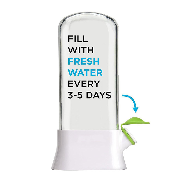 Herb & Vegetable Fresh-Keeping Box – Eco-Friendly, Anti-Crush Design