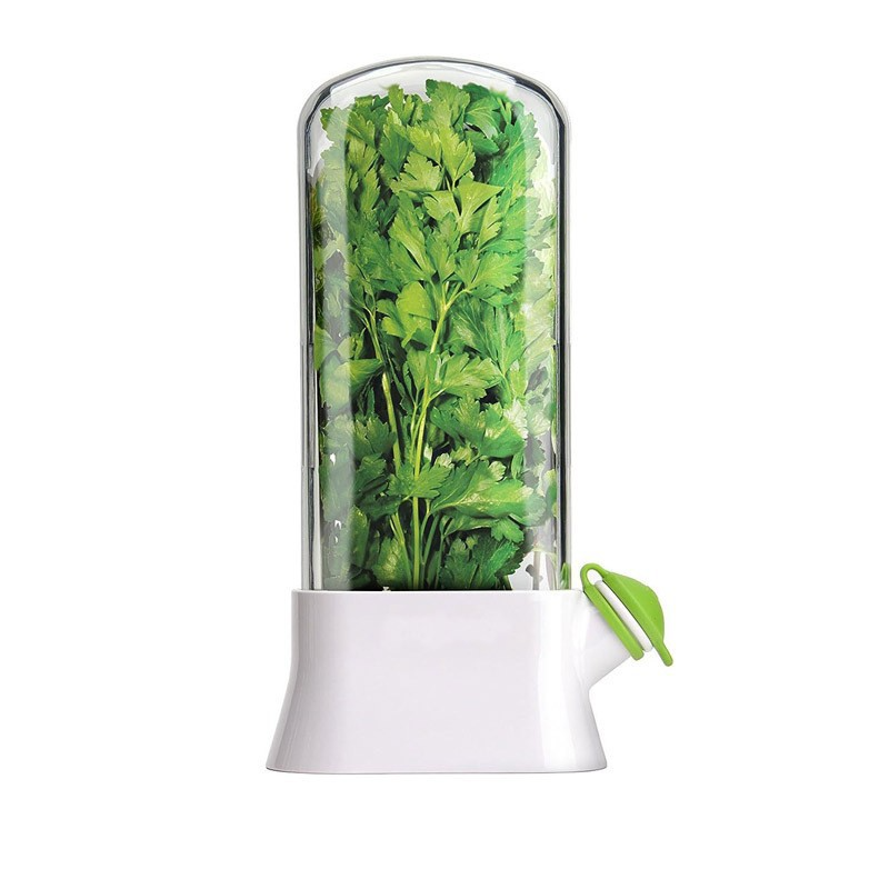 Herb & Vegetable Fresh-Keeping Box – Eco-Friendly, Anti-Crush Design