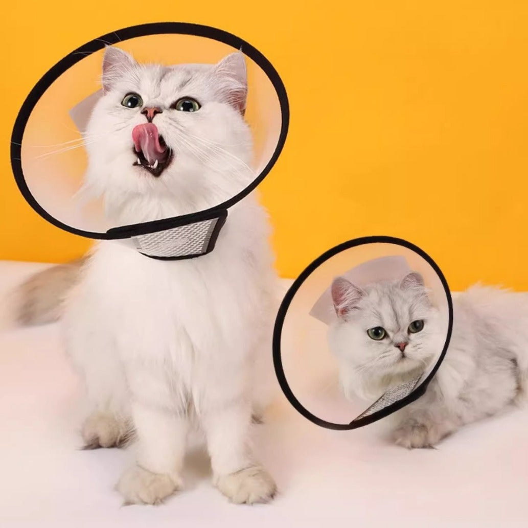 Adjustable Elizabethan Collar for Dogs & Cats 🐶🐱 – Soft, Anti-Lick, Scratch-Resistant Recovery Cone for Post-Surgery Protection