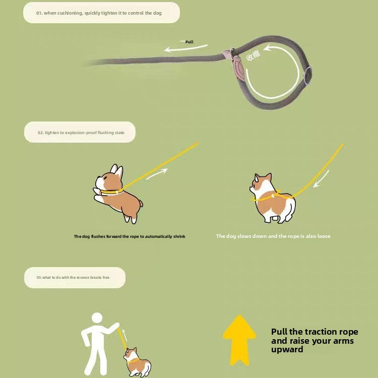 Durable No-Pull Dog Leash â Adjustable Training P Chain Collar for Medium & Large Dogs, Anti-Escape & Explosion-Proof Design