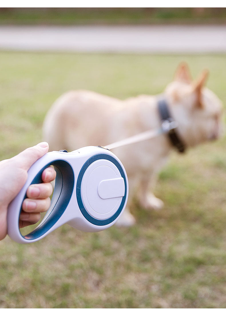 Automatic Retractable Dog Leash â 5M Durable Pet Walking Rope with One-Button Lock for Small & Medium Dogs