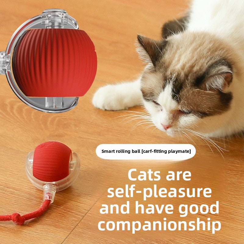 Automatic Interactive Dog & Cat Toy Ball – Durable Smart Rolling Ball for Self-Entertainment & Exercise