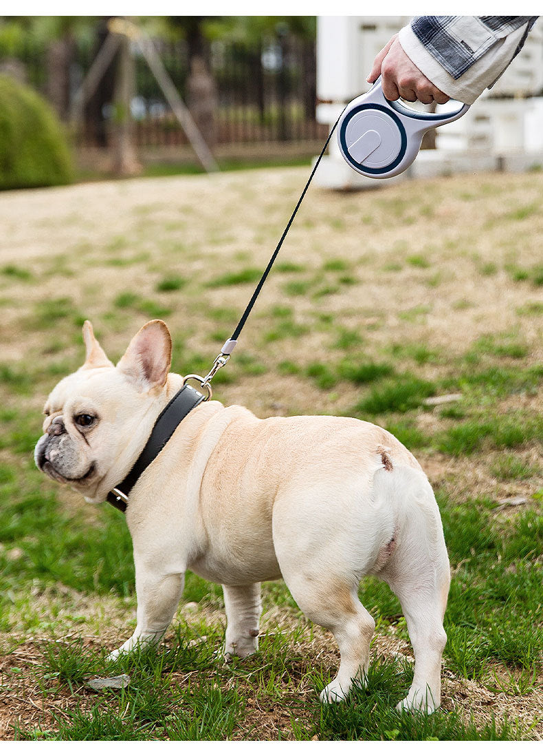 Automatic Retractable Dog Leash â 5M Durable Pet Walking Rope with One-Button Lock for Small & Medium Dogs
