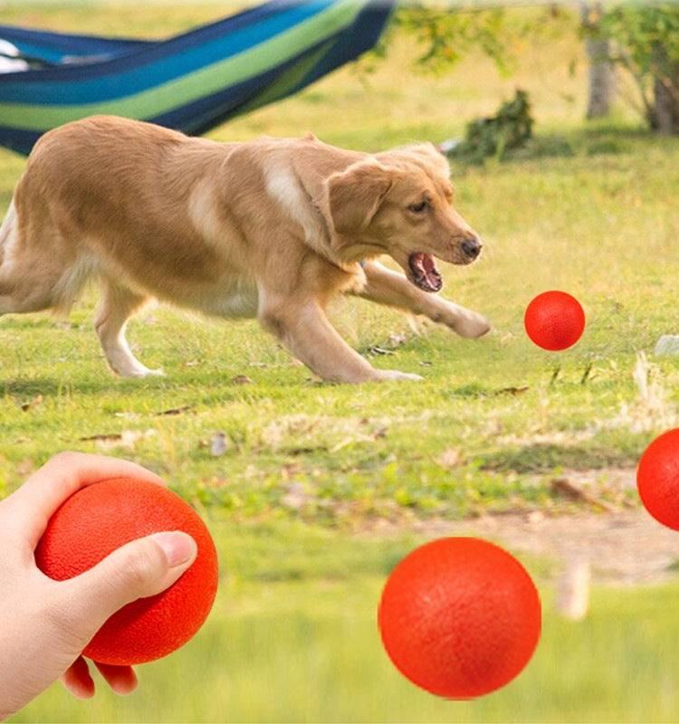 Durable Dog Tennis Ball Toy 🐶 – Elastic, Chew-Resistant 🎾, Bouncy Training Ball for Fetch & Play