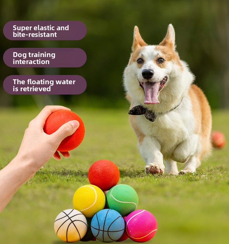 Durable Dog Tennis Ball Toy 🐶 – Elastic, Chew-Resistant 🎾, Bouncy Training Ball for Fetch & Play