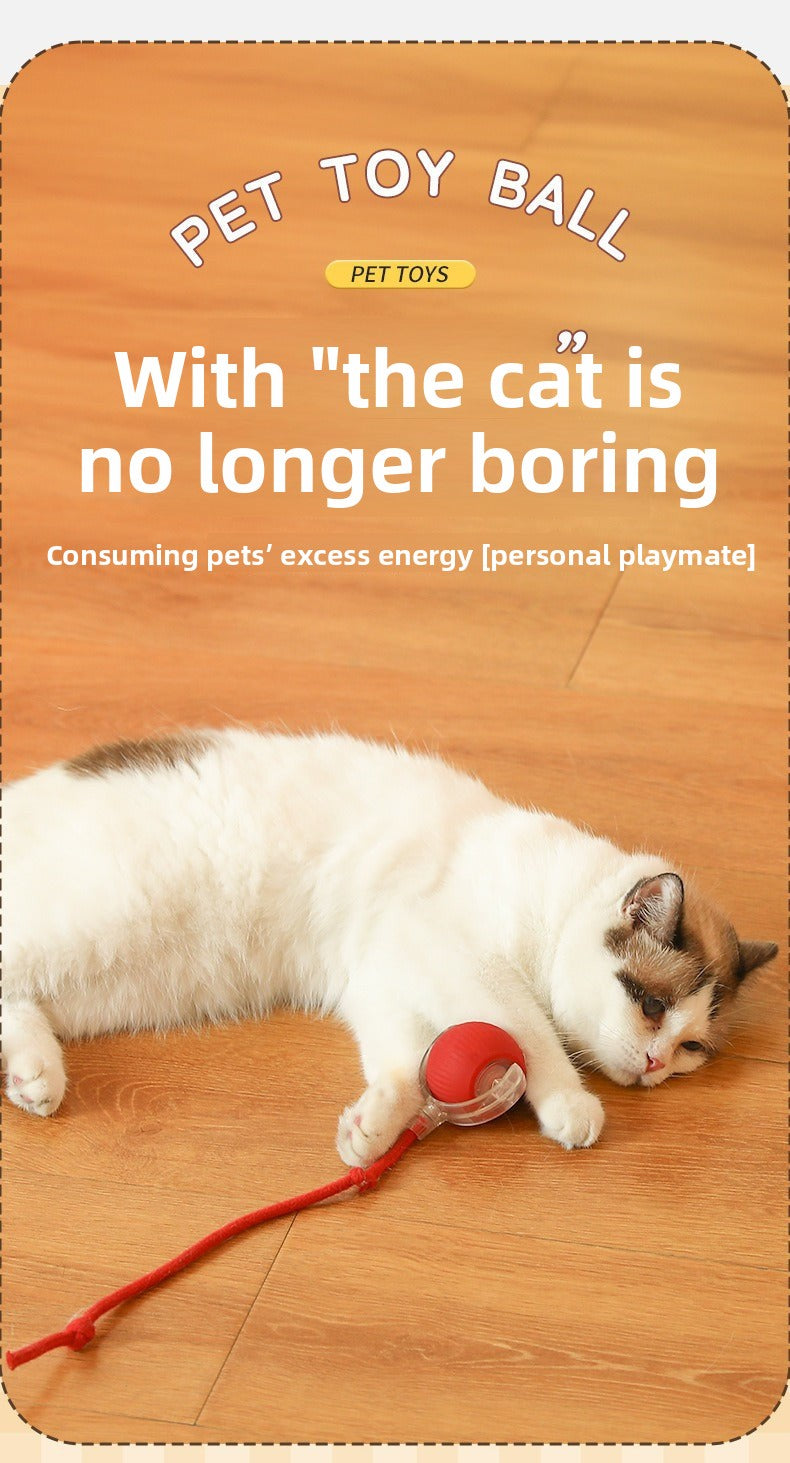 Automatic Interactive Dog & Cat Toy Ball – Durable Smart Rolling Ball for Self-Entertainment & Exercise
