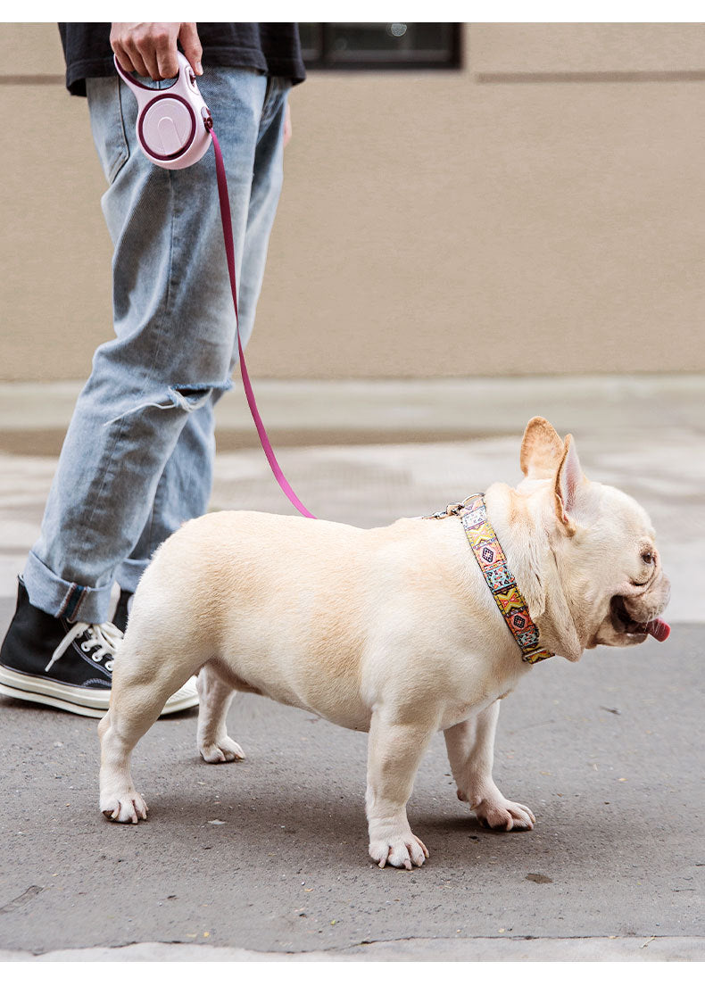Automatic Retractable Dog Leash â 5M Durable Pet Walking Rope with One-Button Lock for Small & Medium Dogs