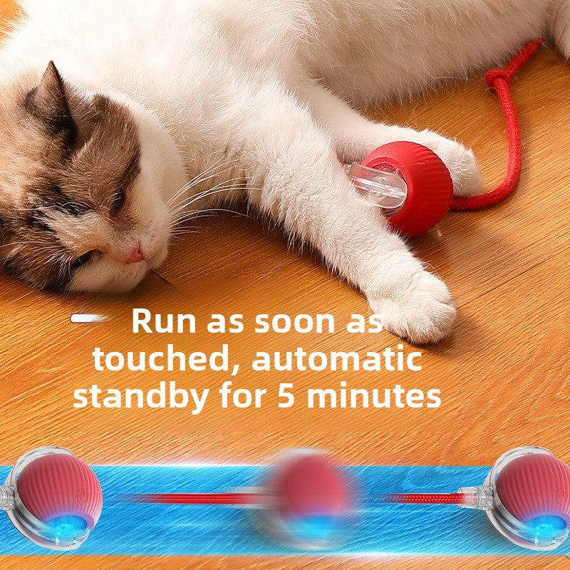 Automatic Interactive Dog & Cat Toy Ball – Durable Smart Rolling Ball for Self-Entertainment & Exercise