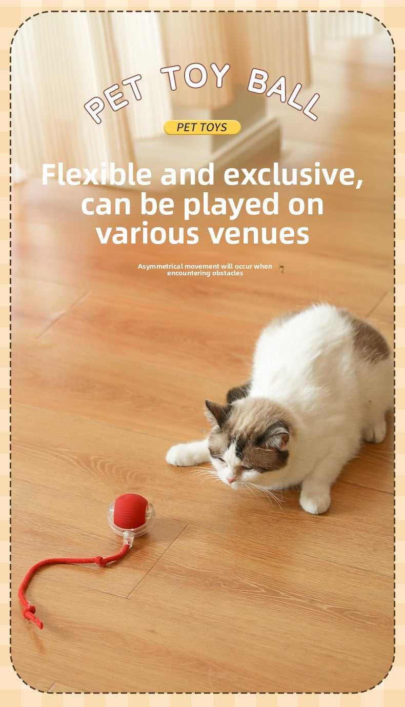 Automatic Interactive Dog & Cat Toy Ball – Durable Smart Rolling Ball for Self-Entertainment & Exercise