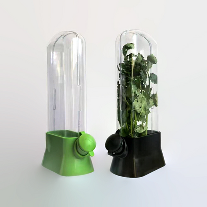 Herb & Vegetable Fresh-Keeping Box – Eco-Friendly, Anti-Crush Design