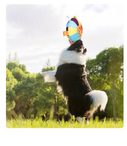 Interactive Dog Sound Toy 🐶🎶 – Colorful Chew-Resistant Plush Frisbee for Fetch, Training & Play