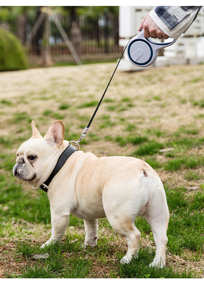 Automatic Retractable Dog Leash – 5M Durable Pet Walking Rope with One-Button Lock for Small & Medium Dogs
