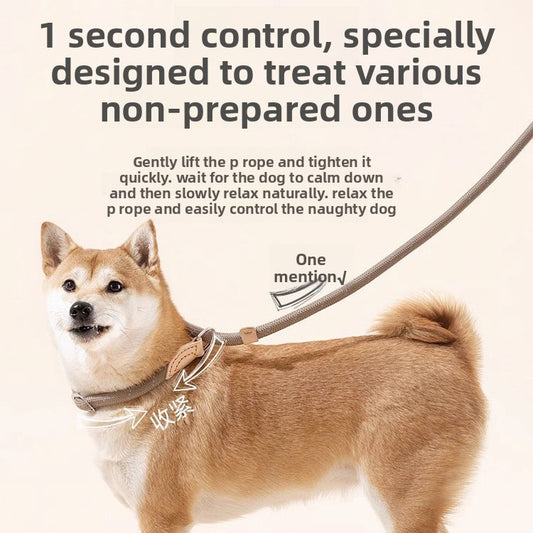 Durable No-Pull Dog Leash – Adjustable Training P Chain Collar for Medium & Large Dogs, Anti-Escape & Explosion-Proof Design